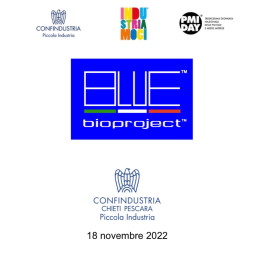 Blueitaly™ for: PMI Day - 18/11/2022 - www.blueitaly.org