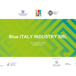 Blueitaly™ story: 13a giornata nazionale Confindustria PMI Day - 18/11/2022 - www.blueitaly.org